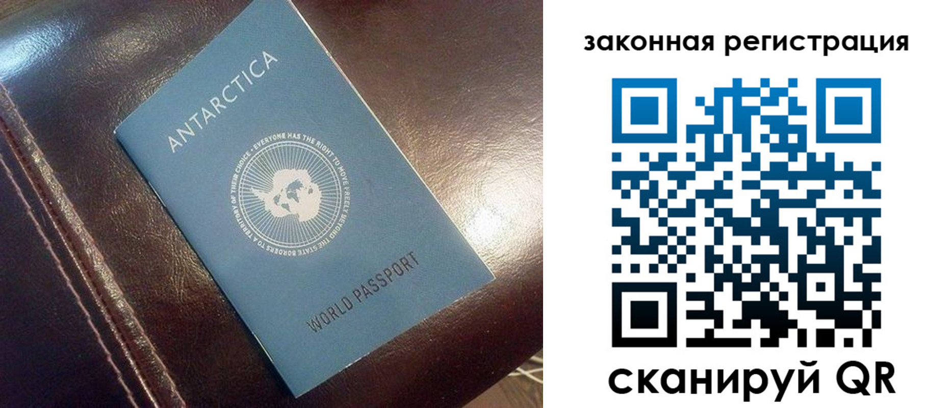 временная регистрация поиск в Выборге